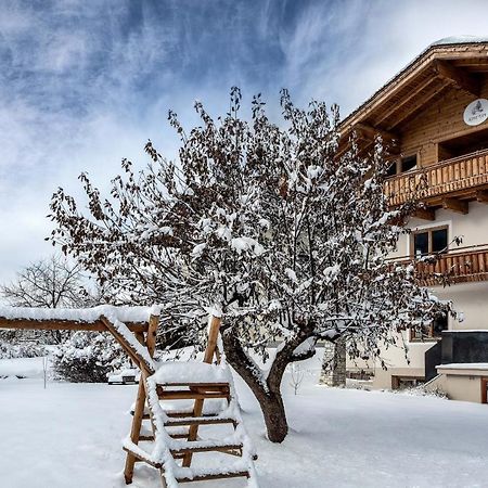 Alpine View Apartments Niedernsill Dış mekan fotoğraf